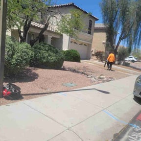 Bush Trimming by Integrity property services reviewed on May 16, 2022