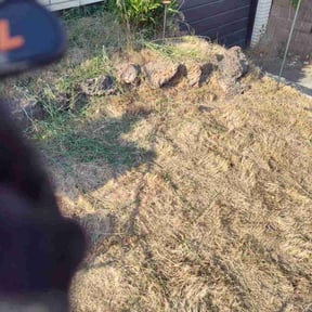 Landscaping by C&C Lawn Care reviewed on October 18, 2020