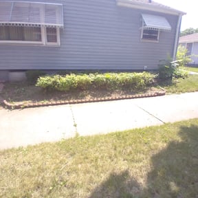 Bush Trimming by TruGreen LawnCare reviewed on August 15, 2025