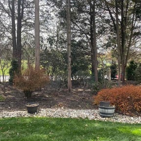 Leaf Removal by Yard Dr. LLC reviewed on May 7, 2022