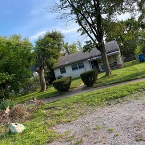 Bush Trimming by Andrade lawncare reviewed on September 11, 2024