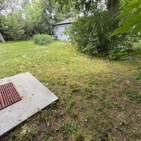 Cleanups by A-1 Curb Appeal reviewed on June 17, 2022