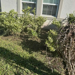 Flower Bed Weeding by Leon&#039;s Lawns &amp; Home Improvements reviewed on July 18, 2025