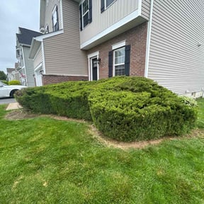 Bush Trimming by Lawn Care reviewed on November 23, 2022
