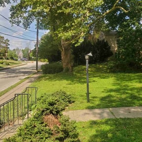 Cleanups by Fiechtner landscaping reviewed on July 29, 2022