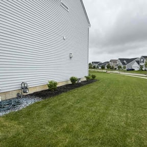 Bush Trimming by Joe’s lawn care reviewed on June 15, 2022