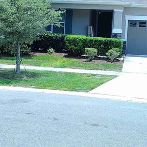 Bush Trimming by I&N Lawncare Services LLC reviewed on March 26, 2025