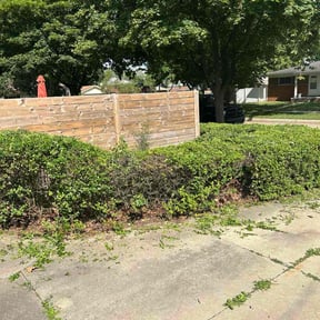 Bush Trimming by Blue Line Landscaping reviewed on August 2, 2022