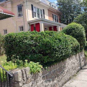 Bush Trimming by NRB Landscape Services reviewed on July 31, 2024