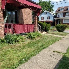 Bush Trimming by Fully Loaded LLC reviewed on July 11, 2025