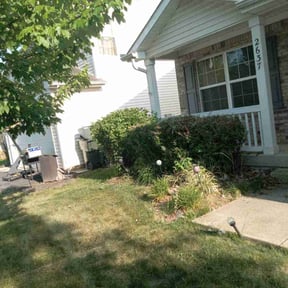 Bush Trimming by Solis lawn care reviewed on July 26, 2022