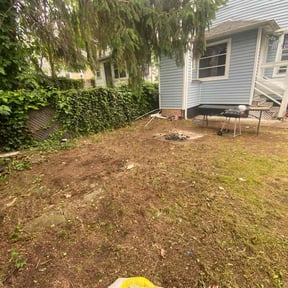 Leaf Removal by B and b lawn and professional services llc reviewed on October 21, 2021