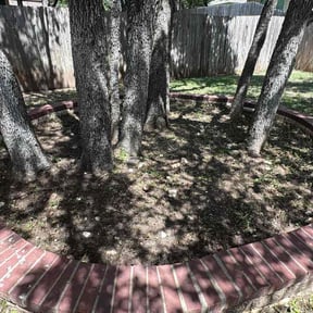 Flower Bed Weeding by Grasman LLC reviewed on January 9, 2022