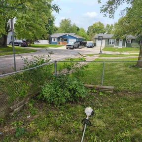Bush Trimming by Chai reviewed on May 22, 2022