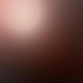 Flower Bed Weeding by Burton Lawn Care reviewed on November 30, 2024