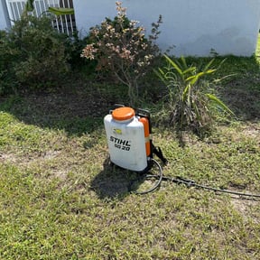 Weeding by Pooh's Lawn Care & Home Improvements reviewed on July 22, 2025