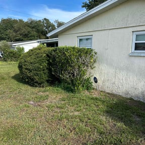 Bush Trimming by Croc Landscape Corp reviewed on April 9, 2025