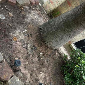 Flower Bed Weeding by Felix Alejos reviewed on November 15, 2023