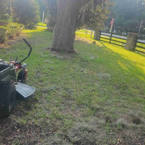 Cleanups by LawnSense reviewed on August 9, 2024