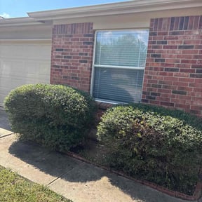 Bush Trimming by Emilio’s lawn care reviewed on October 3, 2024