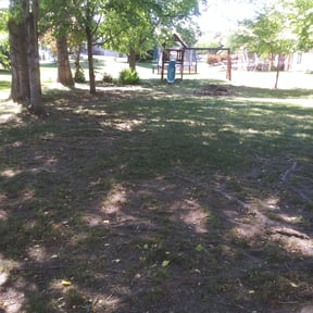 Leaf Removal by Rush Lawn Mowing Service reviewed on June 11, 2022