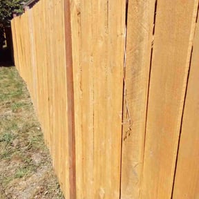 Weeding by Joseph Fullner reviewed on December 21, 2024