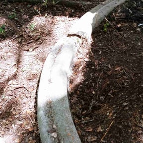 Leaf Removal by Precision Lawn Care of VA reviewed on April 11, 2022