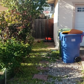 Bush Trimming by brett b landscaping reviewed on December 2, 2024