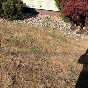 Leaf Removal by Jeremy's Lawn Service reviewed on May 12, 2022
