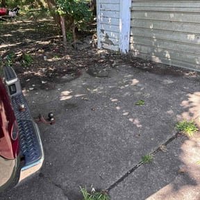 Cleanups by Blue Lagoon Lawn Service reviewed on April 14, 2022