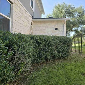 Bush Trimming by Chris’s Lawn Service reviewed on September 13, 2020