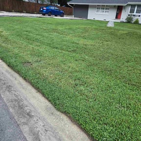 Flower Bed Weeding by Williamson's Lawn Care and Service reviewed on August 11, 2020