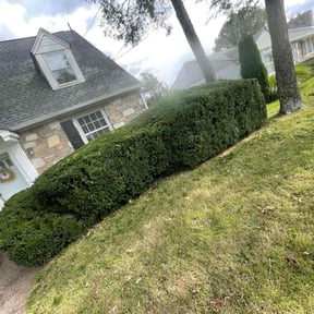 Bush Trimming by R&L Regal Lawn Care reviewed on October 12, 2022