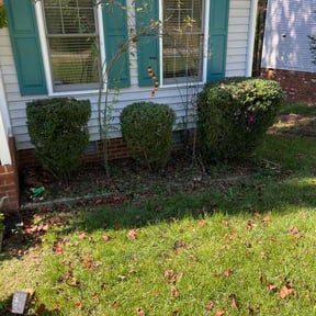 Bush Trimming by J's Lawn and Landscaping reviewed on July 7, 2022
