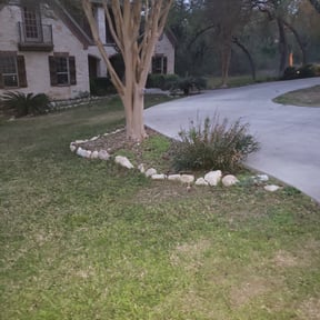 Landscaping by Blooming SEEDZ reviewed on March 31, 2025