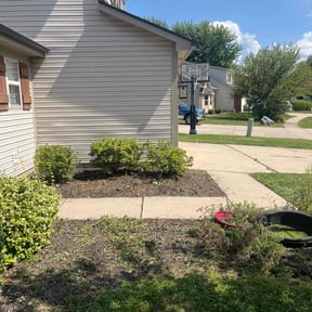 Flower Bed Weeding by P&A PS SERVICES CORPORATION reviewed on May 28, 2022