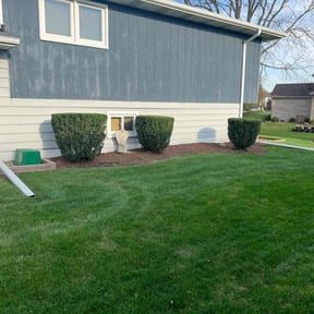 Leaf Removal by TC SERVICES reviewed on June 9, 2022