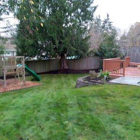 Leaf Removal by We do it all llc reviewed on May 2, 2025