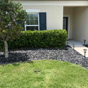 Bush Trimming by JoJo property services LLC reviewed on May 17, 2022