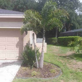 Bush Trimming by Wynstra Lawn Care LLC reviewed on December 24, 2021