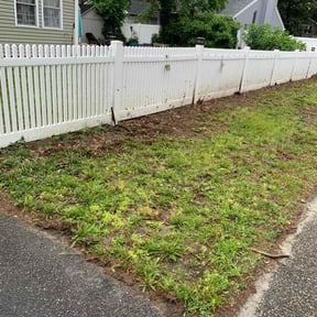 Cleanups by Adams Lawn & Outdoor reviewed on May 17, 2022