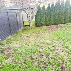 Leaf Removal by Leon&#039;s Landscape and Concepts reviewed on June 20, 2022