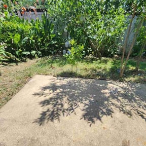 Cleanups by Peoples Champ Lawn and Landscape reviewed on July 14, 2022