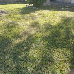 Leaf Removal by Clear cut lawn and landscape reviewed on March 11, 2025