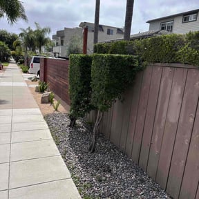 Bush Trimming by Devout Landscape reviewed on May 9, 2025