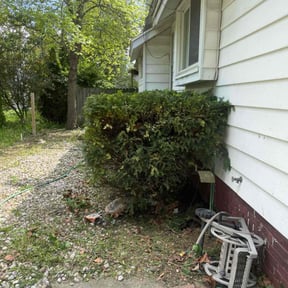 Bush Trimming by Cari lawn care reviewed on June 27, 2022