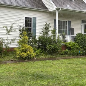 Flower Bed Weeding by ALC Landscaping reviewed on August 4, 2022