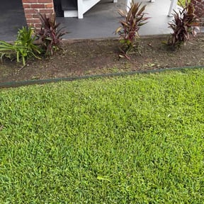 Flower Bed Weeding by Carter Lawn Service reviewed on July 29, 2022