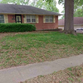 Bush Trimming by Right Lawn Care reviewed on June 23, 2022