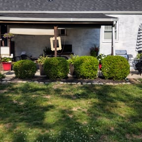 Bush Trimming by Happy plantsman reviewed on September 12, 2024